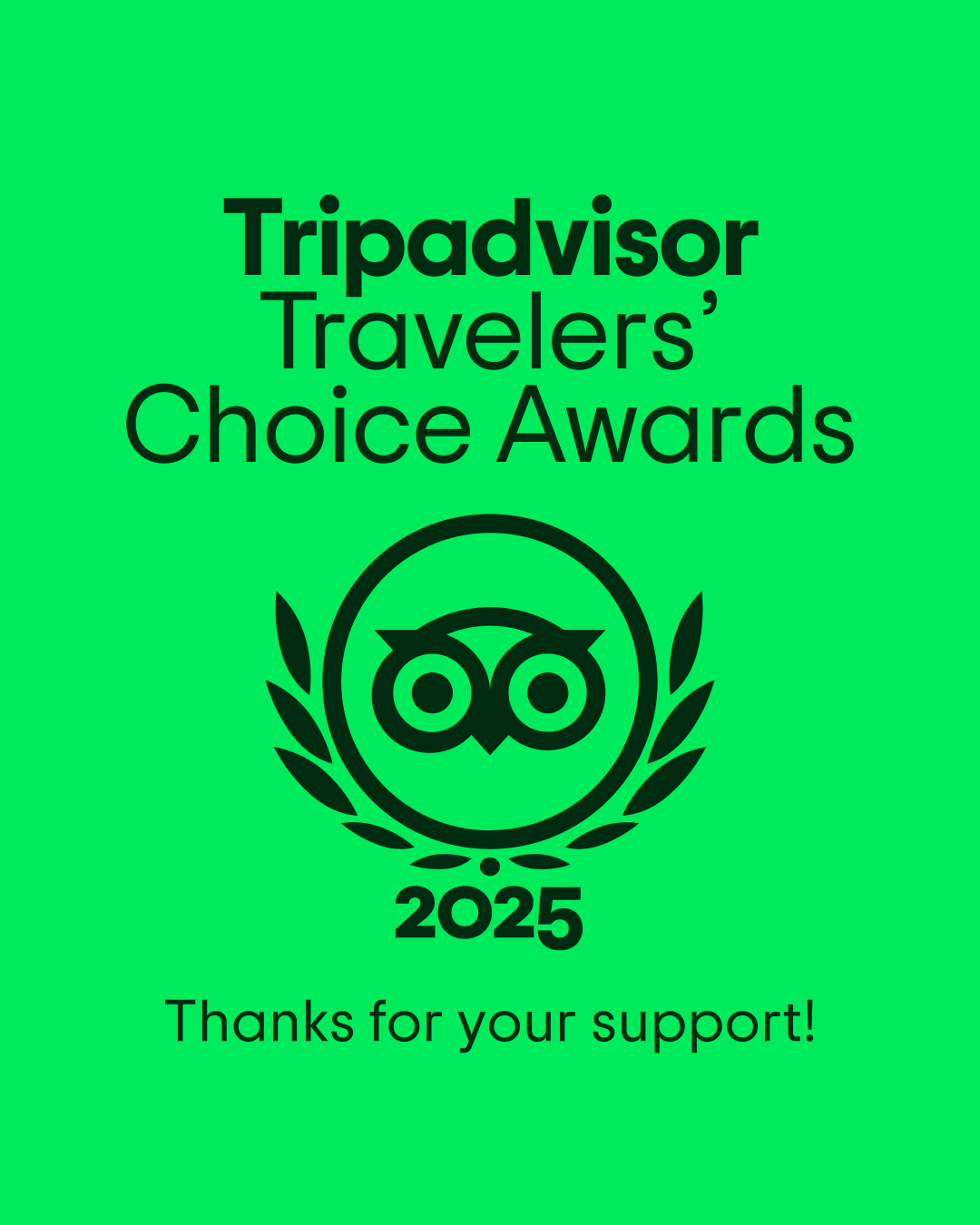 trip 2025